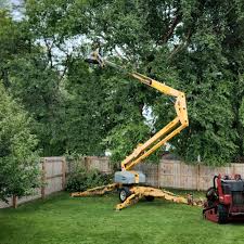 Best Fruit Tree Pruning  in Greensburg, KY