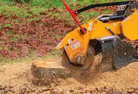 Best Aeration Services  in Greensburg, KY